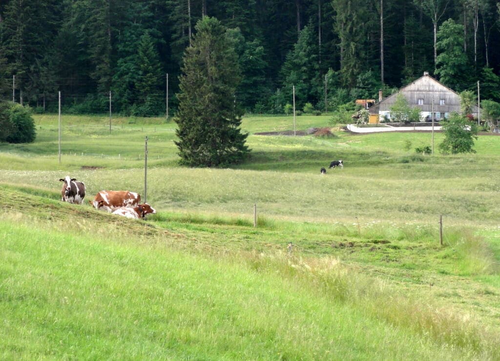 DSC08967