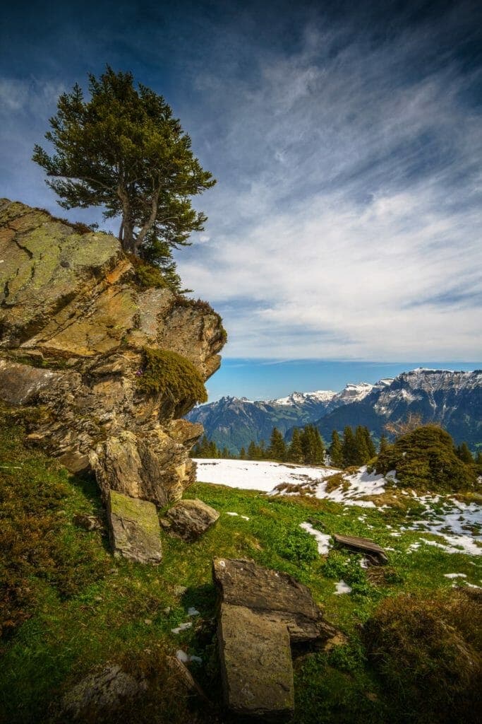 Photo courtesy of Ray Sena.