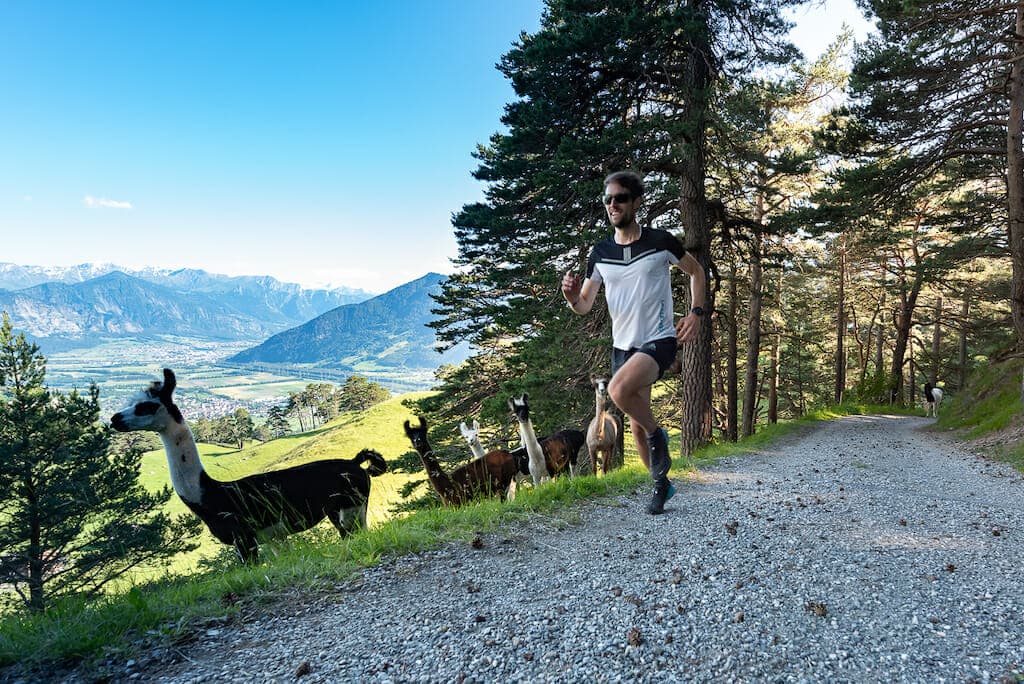 Michael Lenz and alpacas