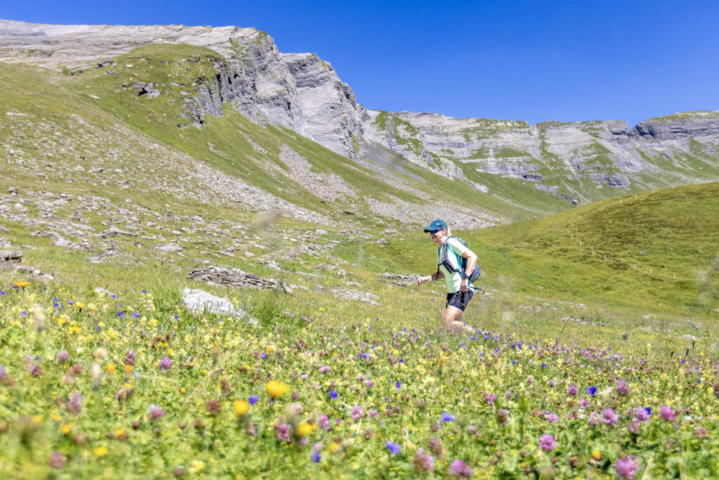 A trail runner in colorful alpine pastures