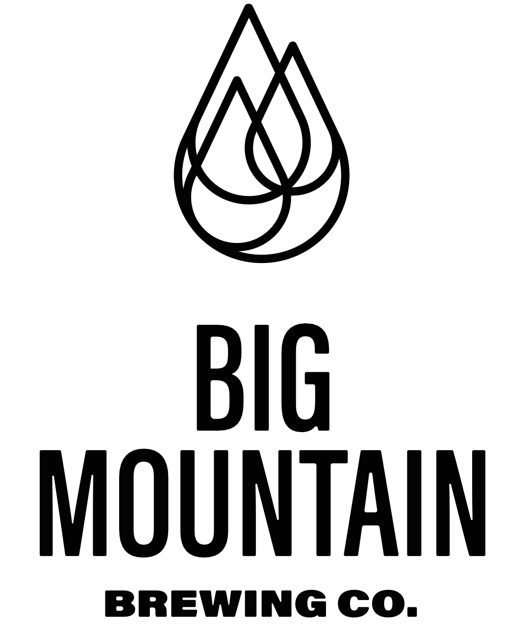 Big Mountain Logo