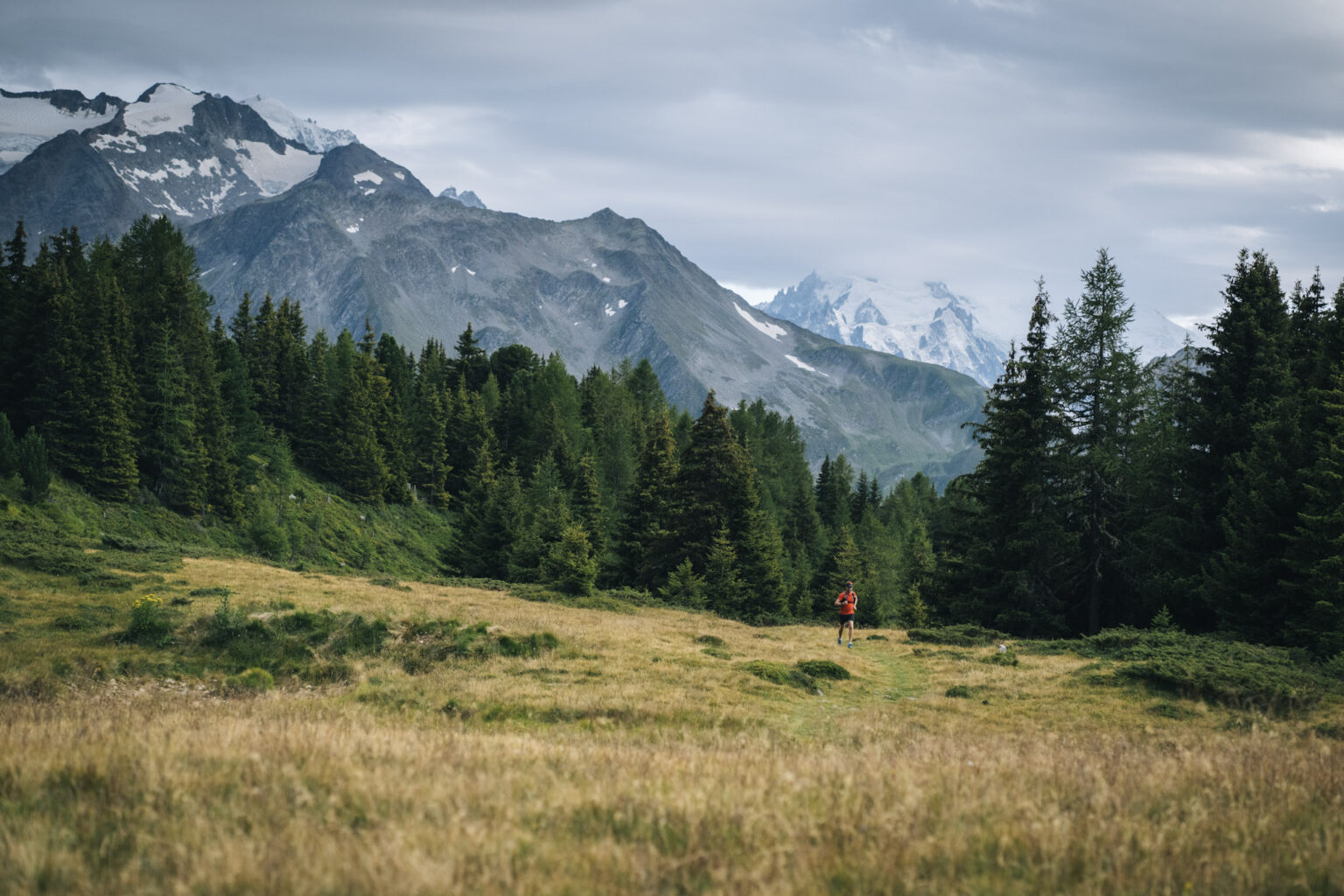 Runner in distance in alpine meadow with forest behind