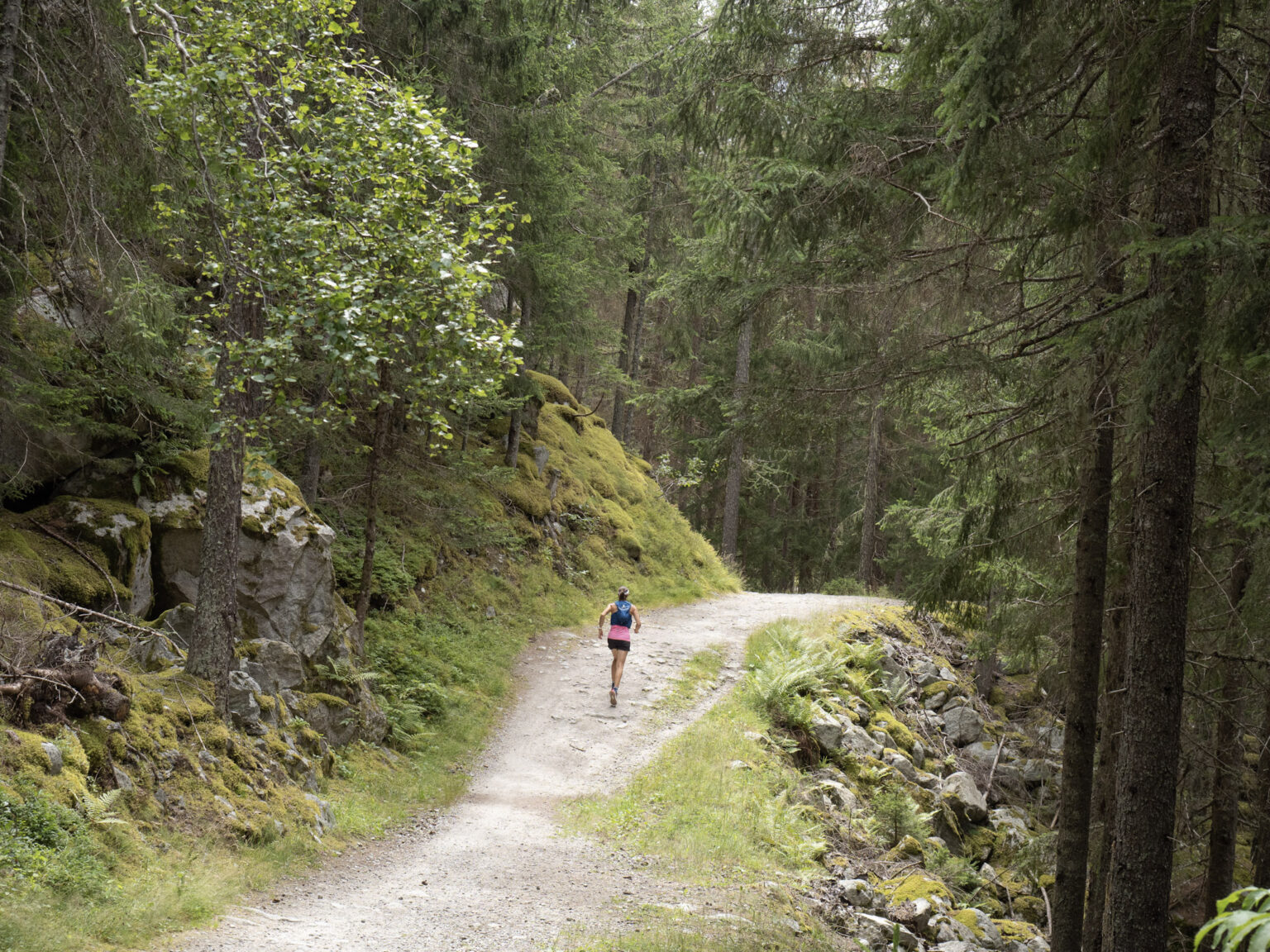 Runner runs through Forest on open double track