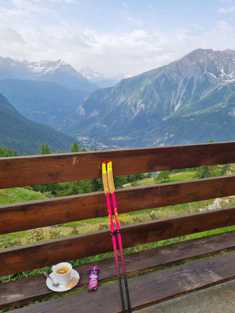 pink leki poles in mountains